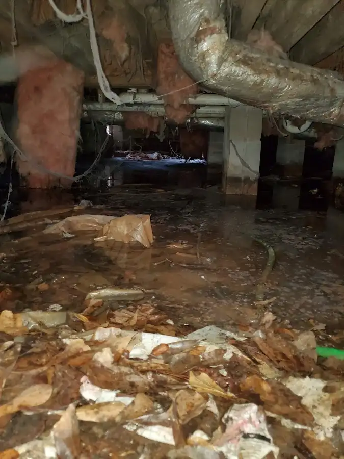 Crawl space flood assessment for Commercial Water Damage Restoration in Gold Canyon
