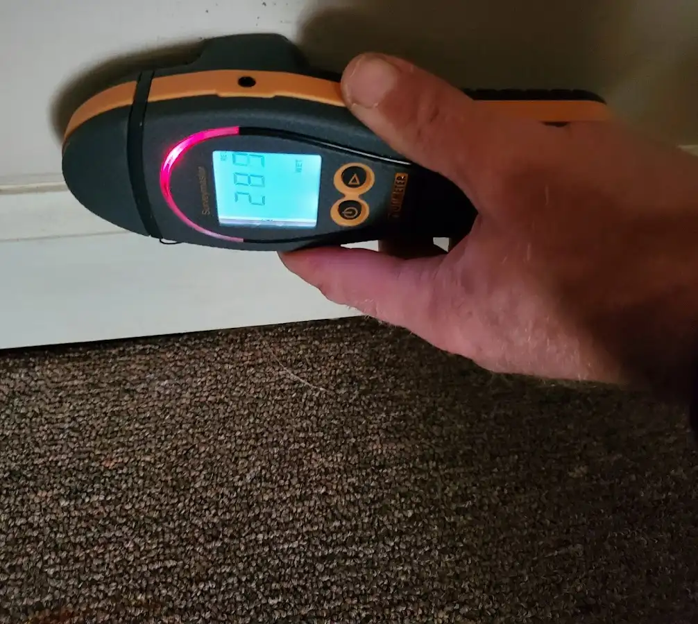 Moisture detection at baseboard during Mold Inspection & Testing in Gold Canyon